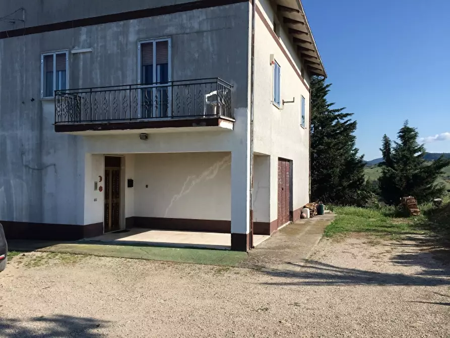 Immagine 2 di Azienda agricola in vendita  in CONTRADA MORELLE a Vasto