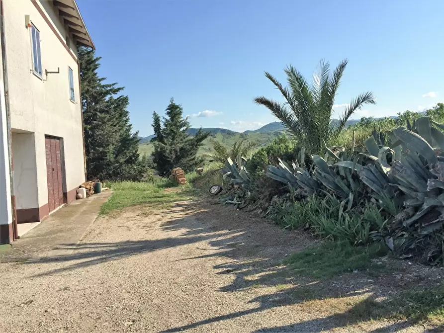 Immagine 3 di Azienda agricola in vendita  in CONTRADA MORELLE a Vasto