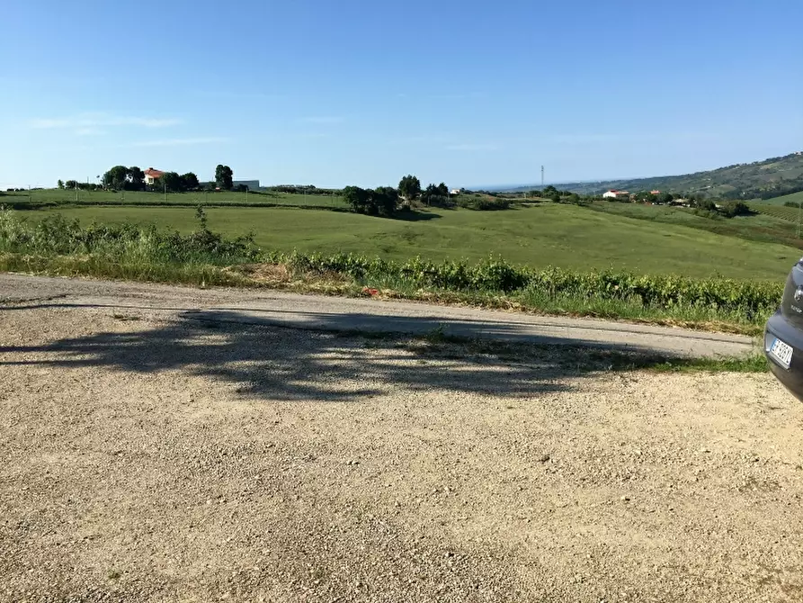 Immagine 7 di Azienda agricola in vendita  in CONTRADA MORELLE a Vasto
