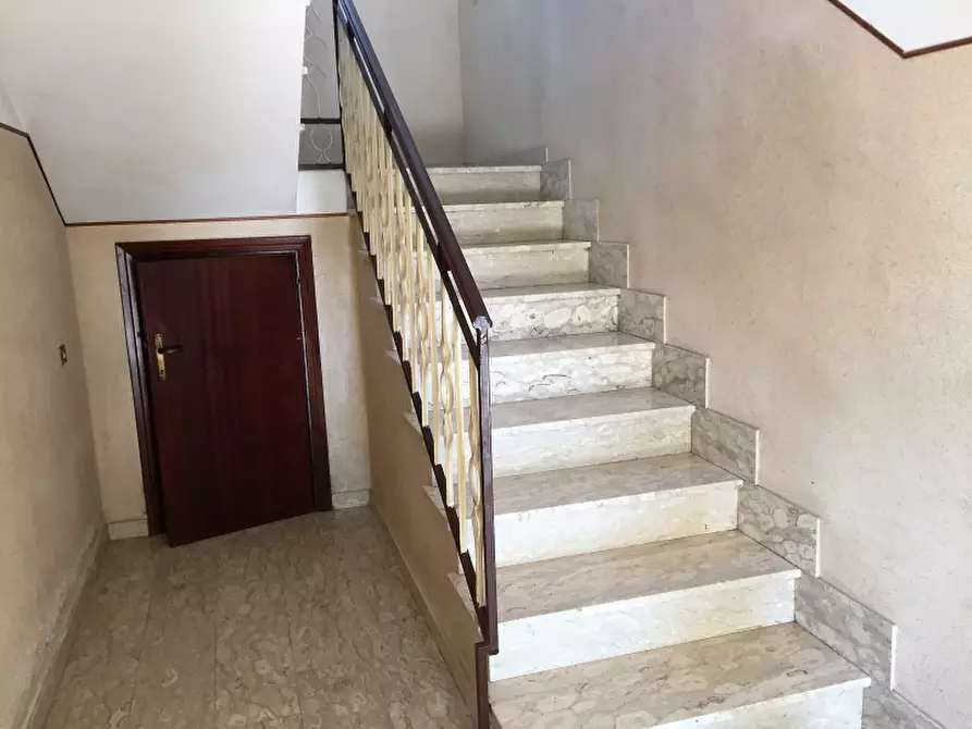 Immagine 9 di Azienda agricola in vendita  in CONTRADA MORELLE a Vasto