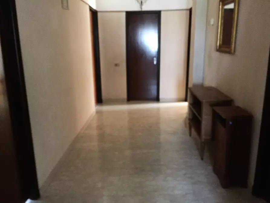 Immagine 10 di Azienda agricola in vendita  in CONTRADA MORELLE a Vasto