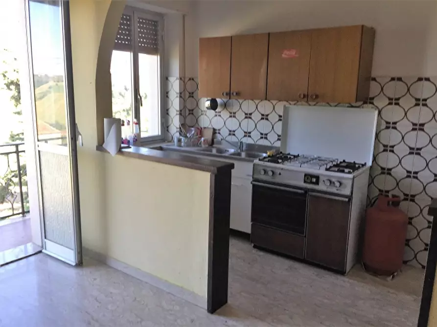 Immagine 12 di Azienda agricola in vendita  in CONTRADA MORELLE a Vasto