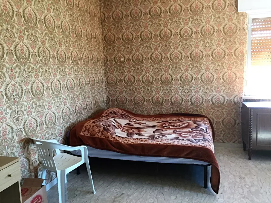 Immagine 13 di Azienda agricola in vendita  in CONTRADA MORELLE a Vasto