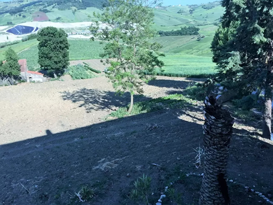 Immagine 14 di Azienda agricola in vendita  in CONTRADA MORELLE a Vasto