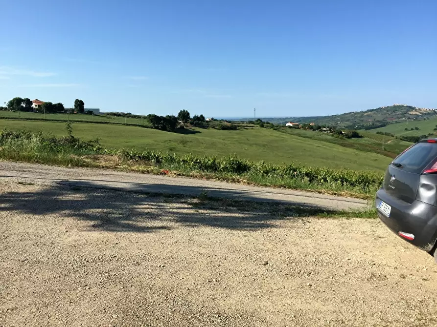 Immagine 15 di Azienda agricola in vendita  in CONTRADA MORELLE a Vasto