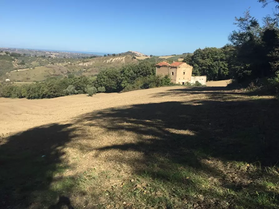 Immagine 1 di Terreno agricolo in vendita  a Cupello