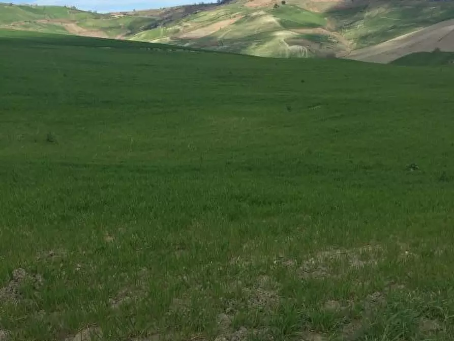 Immagine 2 di Terreno agricolo in vendita  a Furci