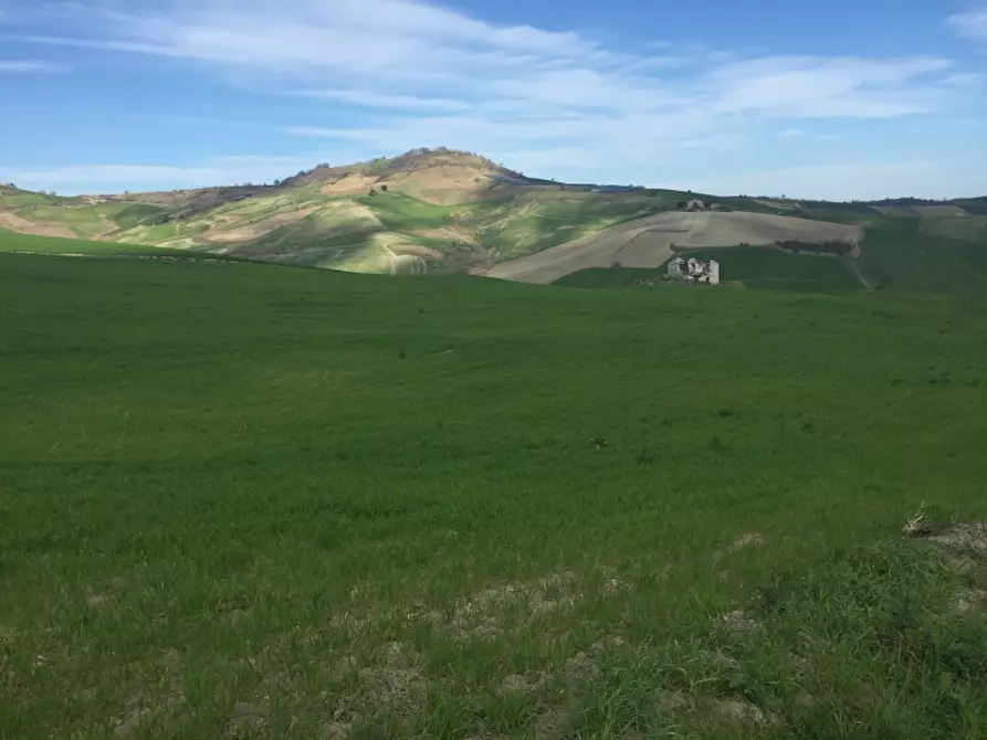 Immagine 3 di Terreno agricolo in vendita  a Furci