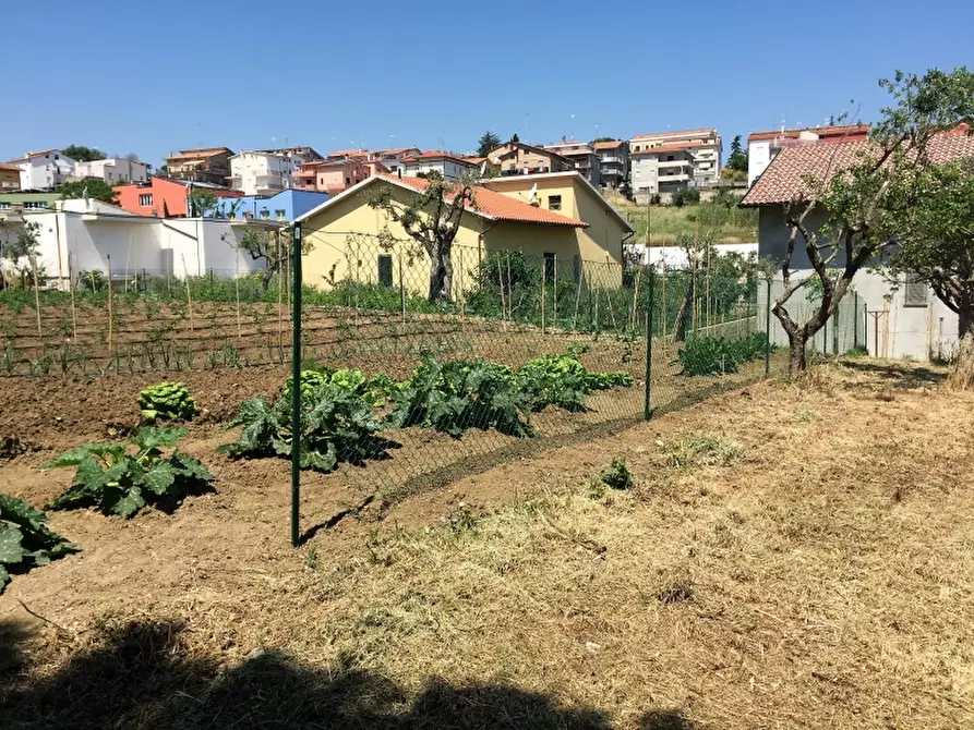 Immagine 3 di Terreno industriale in vendita  a Cupello