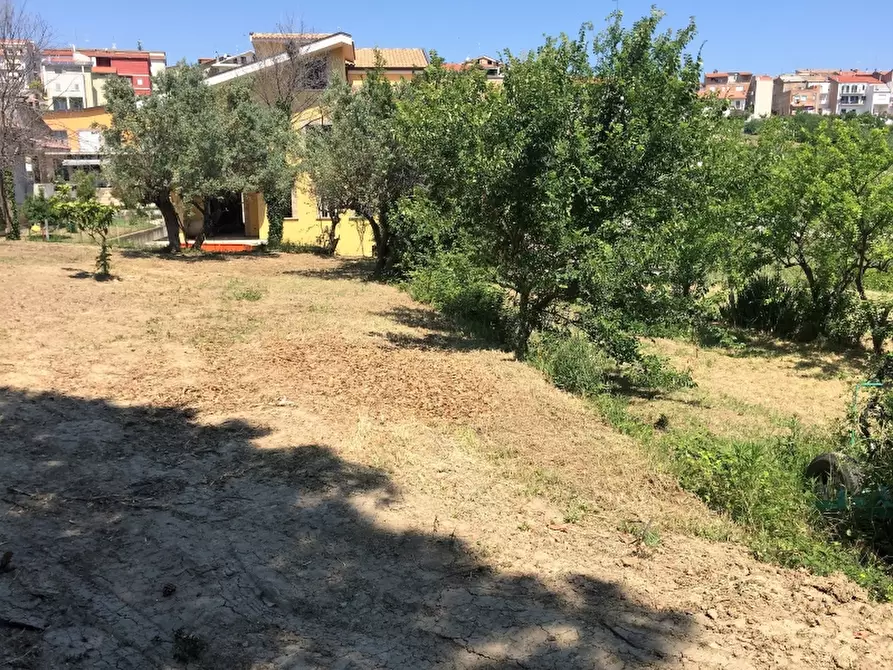 Immagine 4 di Terreno industriale in vendita  a Cupello