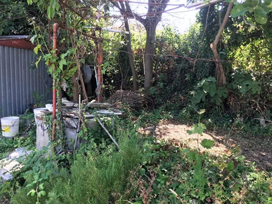 Immagine 5 di Terreno industriale in vendita  a Cupello