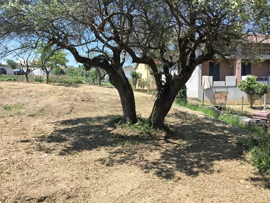 Immagine 6 di Terreno industriale in vendita  a Cupello