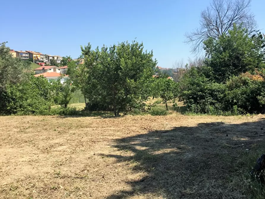 Immagine 7 di Terreno industriale in vendita  a Cupello