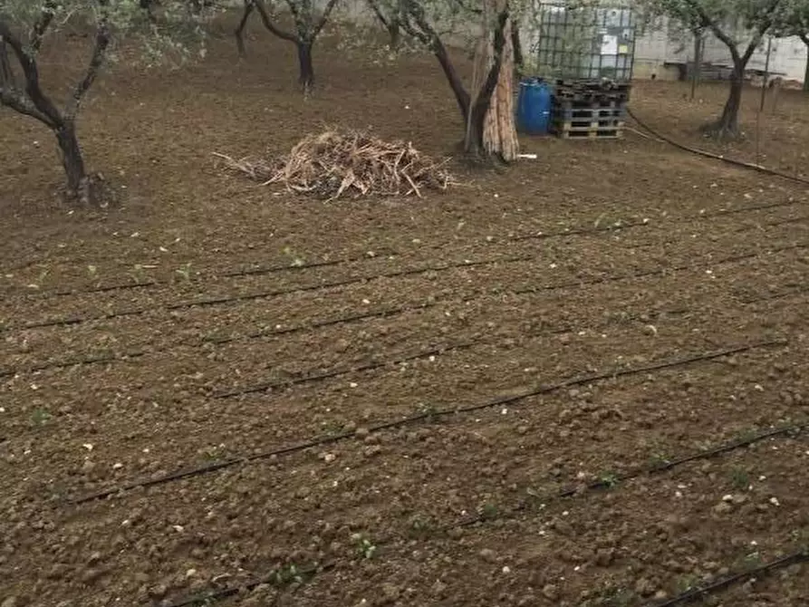 Immagine 4 di Terreno residenziale in vendita  in CONTRADA POLERCIA a Vasto