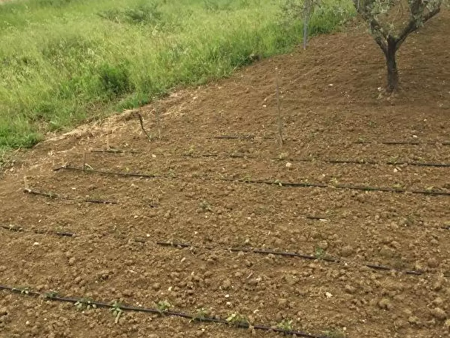 Immagine 5 di Terreno residenziale in vendita  in CONTRADA POLERCIA a Vasto