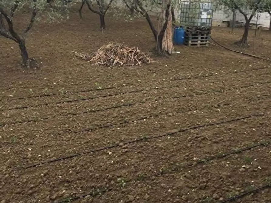 Immagine 6 di Terreno residenziale in vendita  in CONTRADA POLERCIA a Vasto