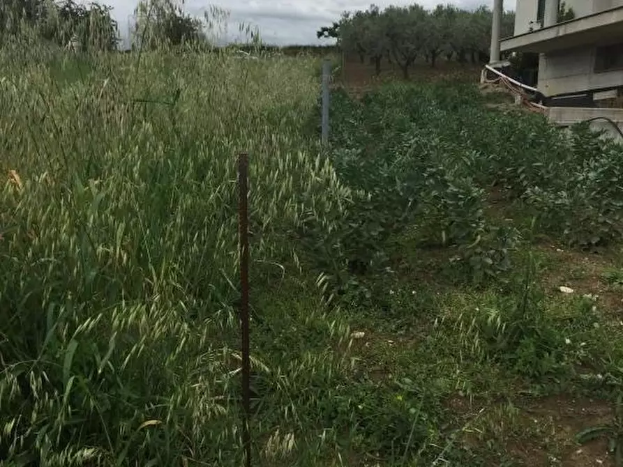 Immagine 7 di Terreno residenziale in vendita  in CONTRADA POLERCIA a Vasto