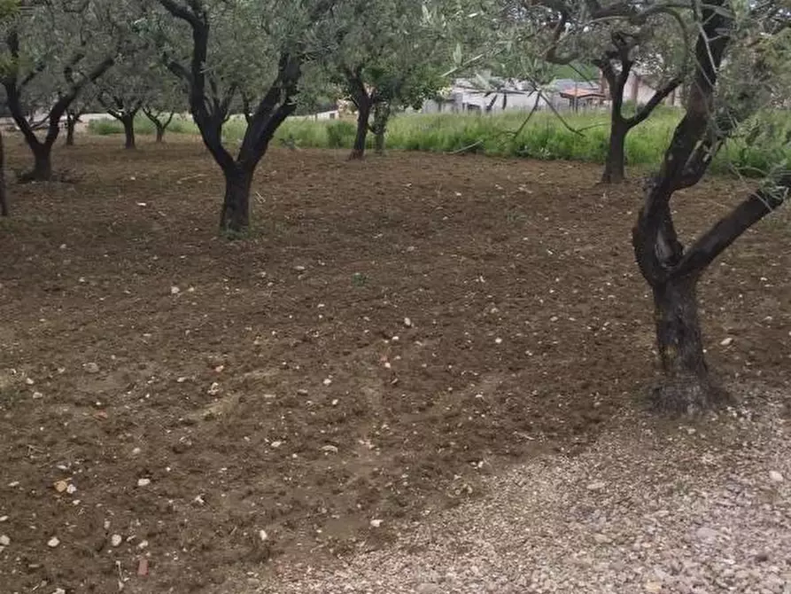 Immagine 8 di Terreno residenziale in vendita  in CONTRADA POLERCIA a Vasto