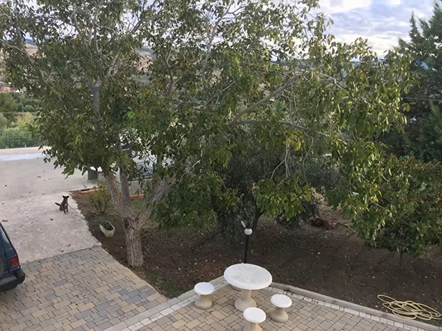 Immagine 7 di Appartamento in vendita  in CONTRADA PESCHIOLA a Gissi