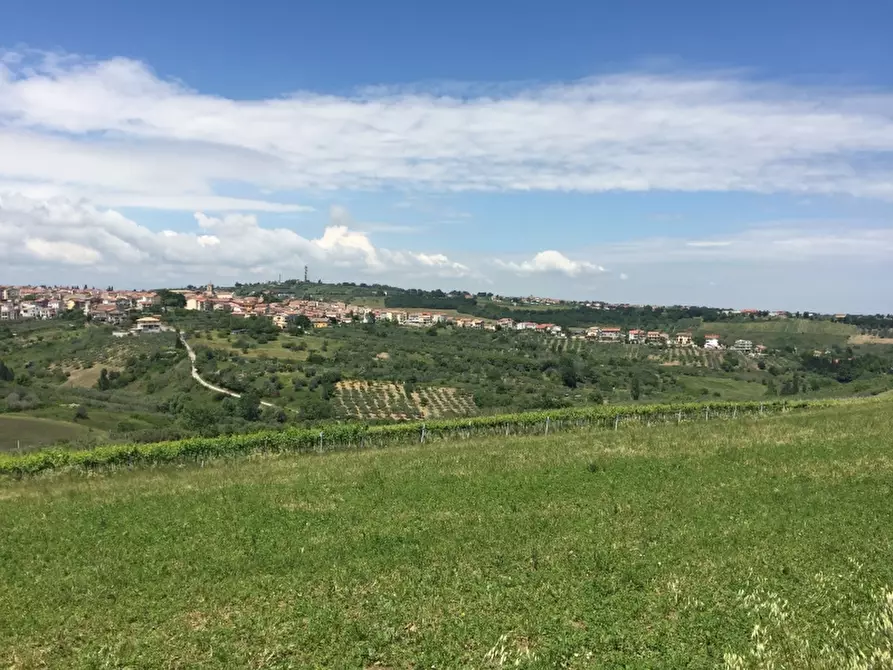 Immagine 17 di Appartamento in vendita  a Cupello