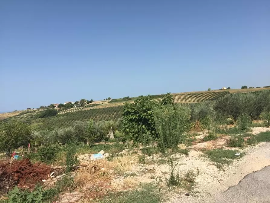 Immagine 4 di Terreno residenziale in vendita  a Vasto