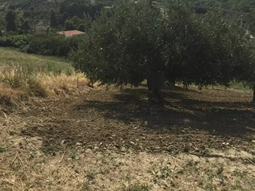 Immagine 6 di Terreno residenziale in vendita  a Vasto
