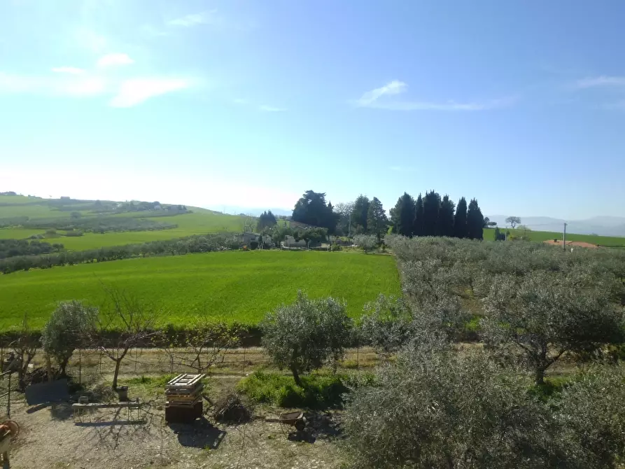 Immagine 12 di Villa in vendita  in CONTRADA MONTEBELLO a Montenero Di Bisaccia