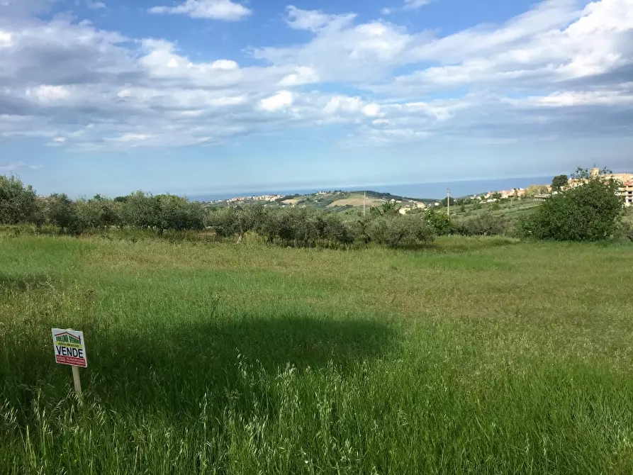 Immagine 3 di Appartamento in vendita  a Cupello