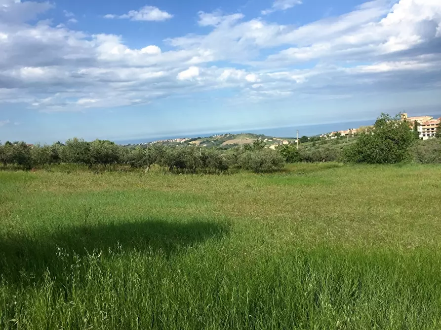 Immagine 4 di Appartamento in vendita  a Cupello