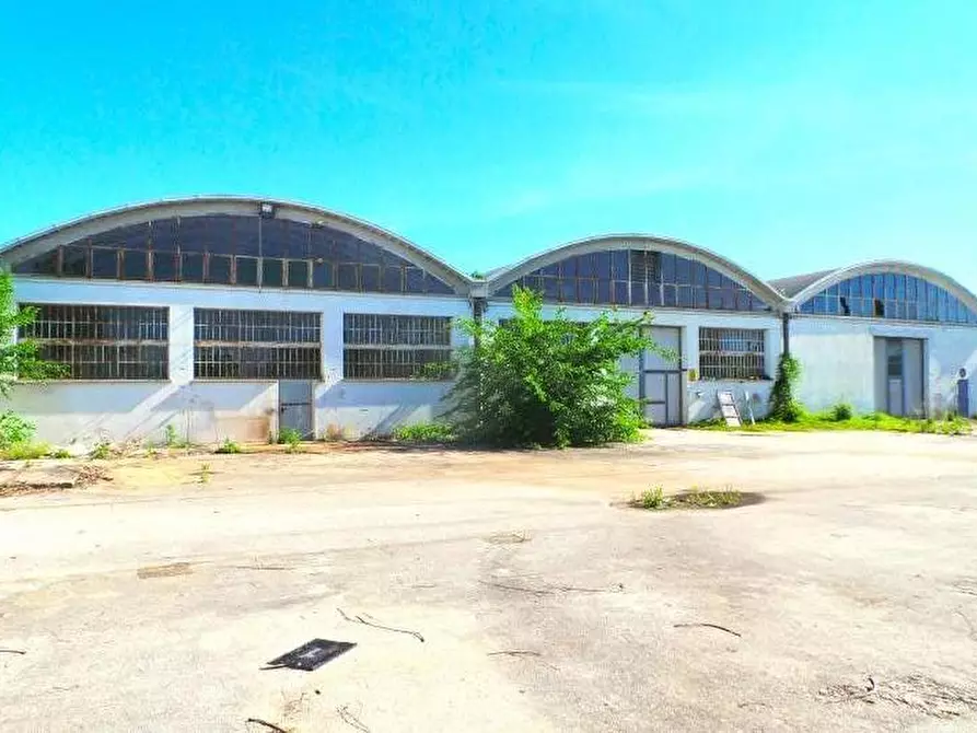 Immagine 8 di Capannone industriale in vendita  a Codroipo