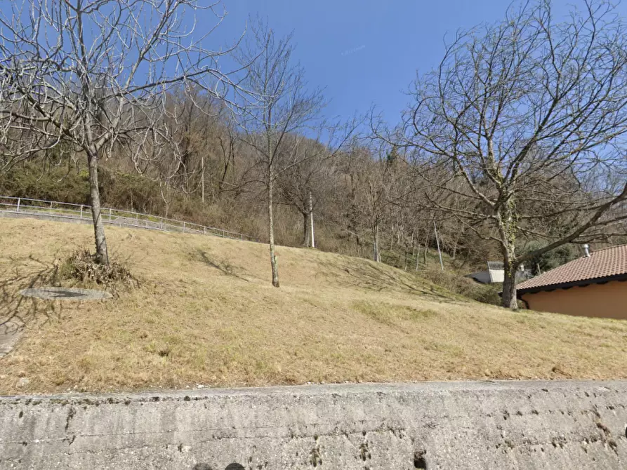 Immagine 1 di Terreno residenziale in vendita  a Forgaria Nel Friuli