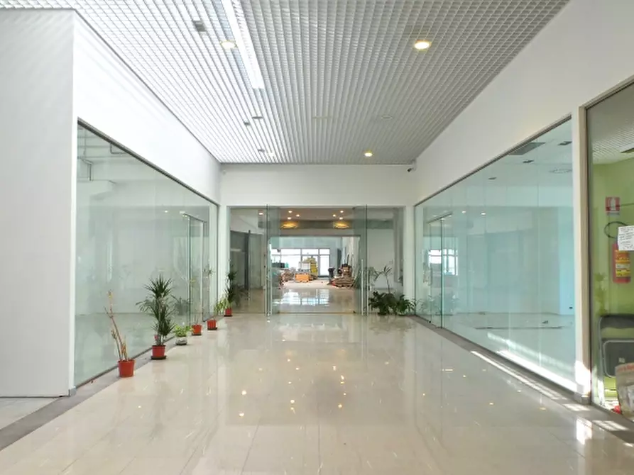 Immagine 9 di Locale commerciale in affitto  a Dignano