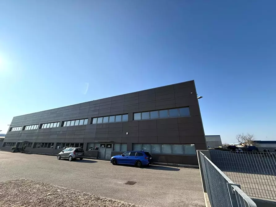 Immagine 8 di Ufficio in affitto  a Buttrio