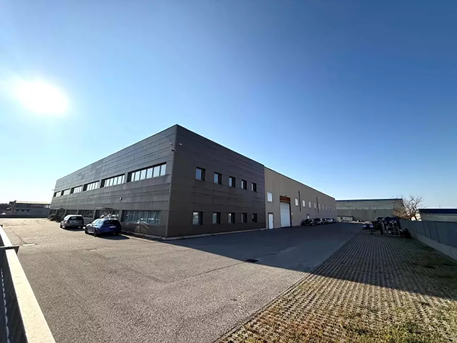 Immagine 7 di Ufficio in affitto  a Buttrio