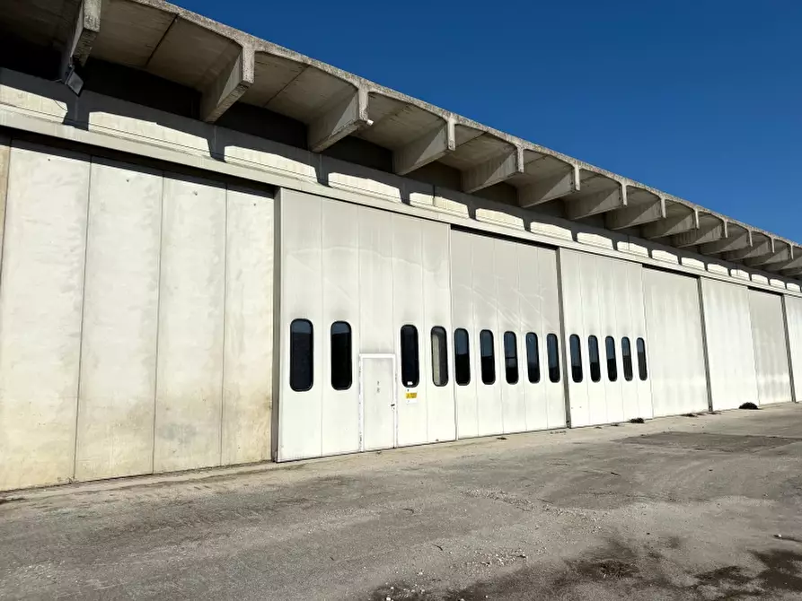 Immagine 8 di Capannone industriale in vendita  a Sesto Al Reghena