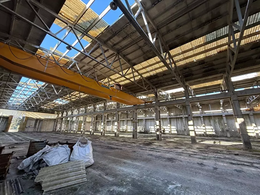 Immagine 2 di Capannone industriale in vendita  a Sesto Al Reghena