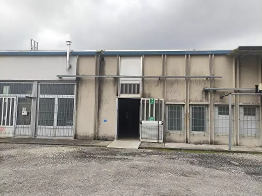 Immagine 3 di Negozio in affitto  a Cassacco