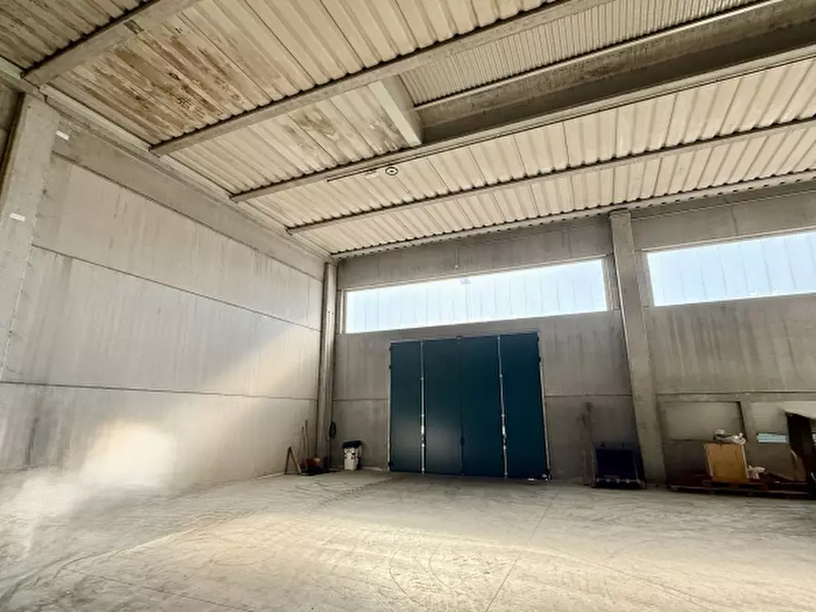 Immagine 2 di Magazzino in affitto  a Teglio Veneto