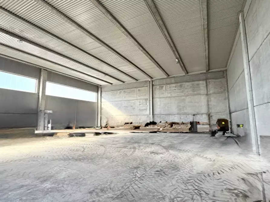 Immagine 3 di Magazzino in affitto  a Teglio Veneto