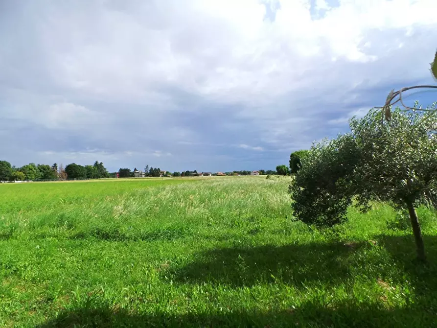 Immagine 6 di Casa indipendente in vendita  a San Daniele Del Friuli