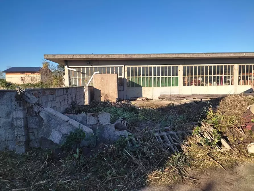 Immagine 3 di Capannone industriale in vendita  a San Giovanni Al Natisone
