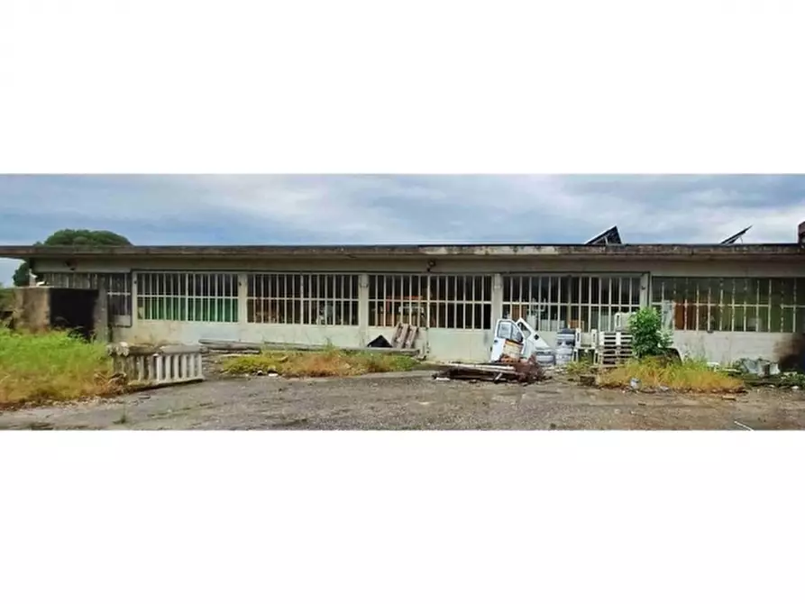 Immagine 2 di Capannone industriale in vendita  a San Giovanni Al Natisone