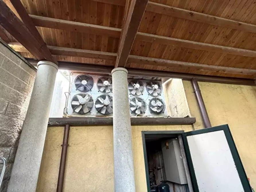 Immagine 6 di Negozio in affitto  a Tarcento