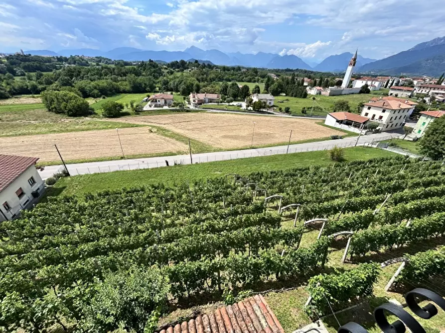 Immagine 3 di Casa indipendente in vendita  a Cassacco