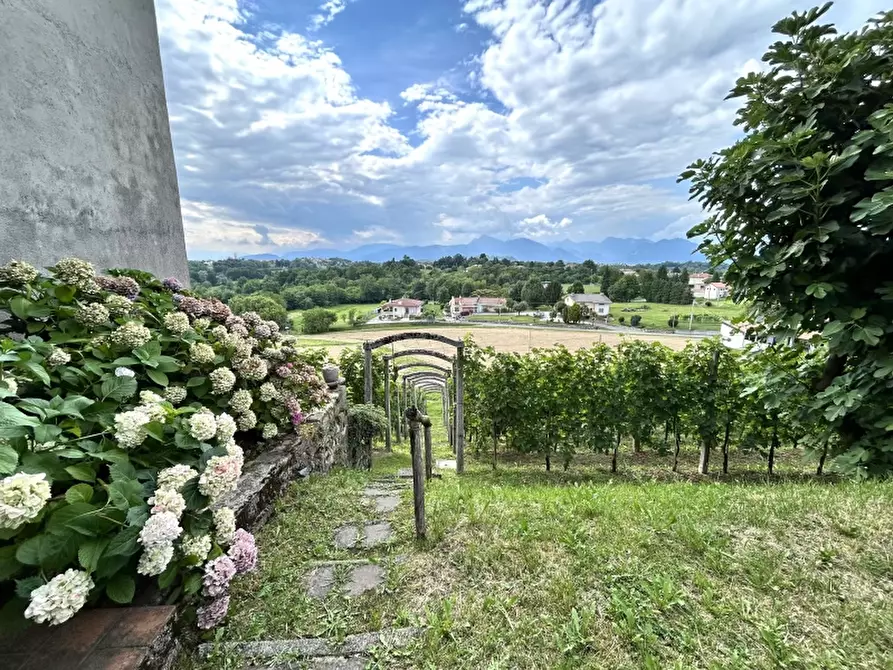 Immagine 2 di Casa indipendente in vendita  a Cassacco