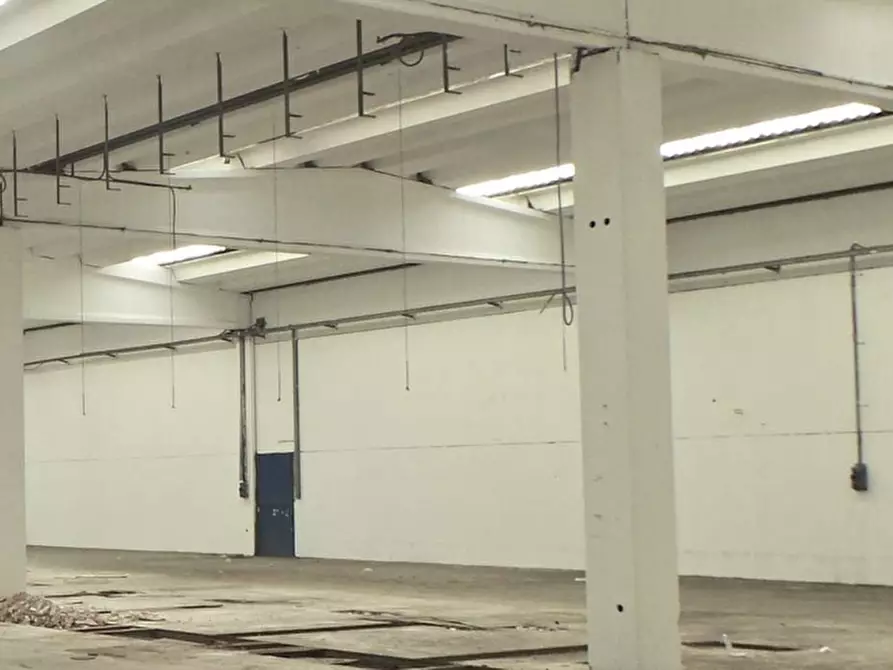 Immagine 1 di Capannone industriale in vendita  a Remanzacco