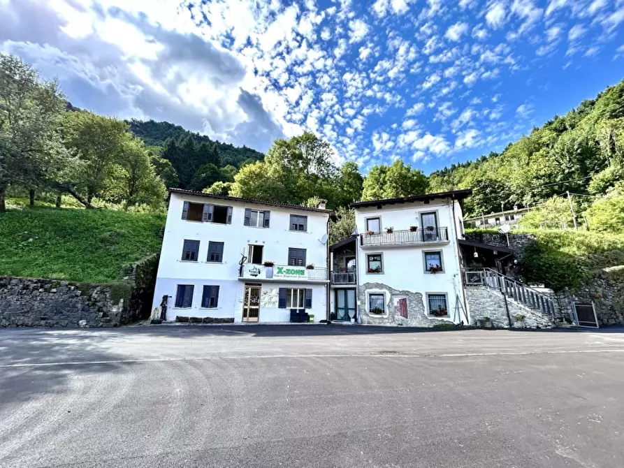 Immagine 3 di Casa indipendente in vendita  a Taipana