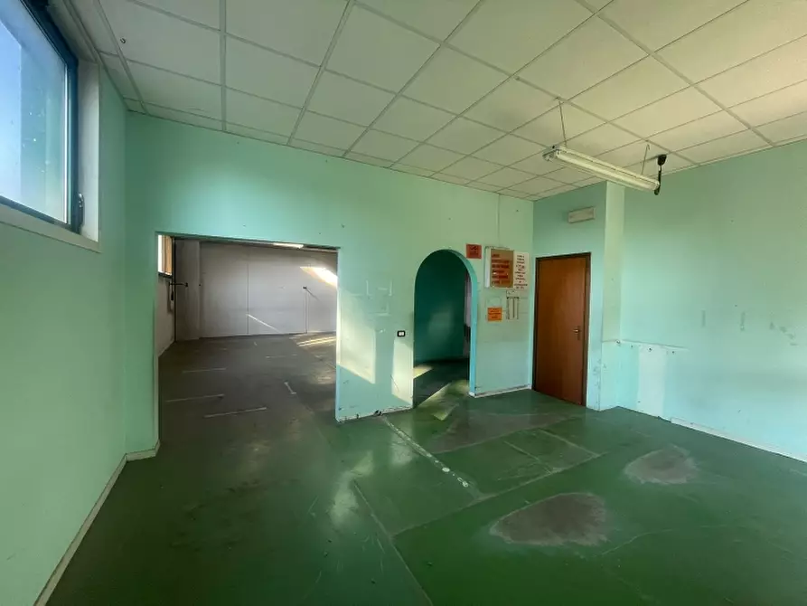 Immagine 6 di Capannone industriale in vendita  a Udine