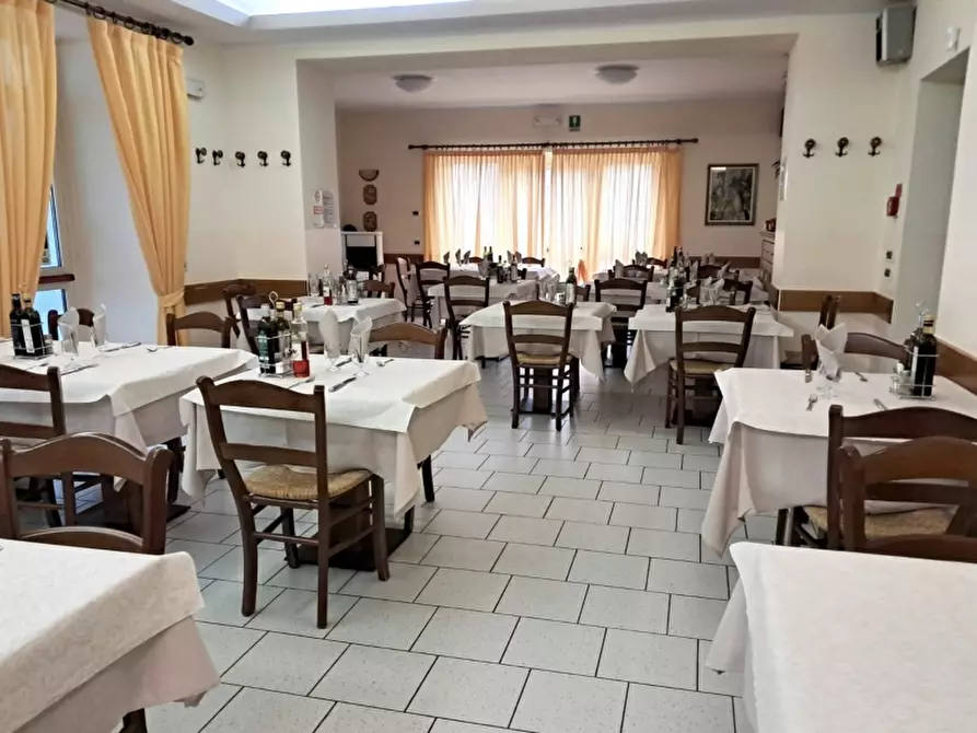 Immagine 1 di Licenza in vendita  a Pontebba