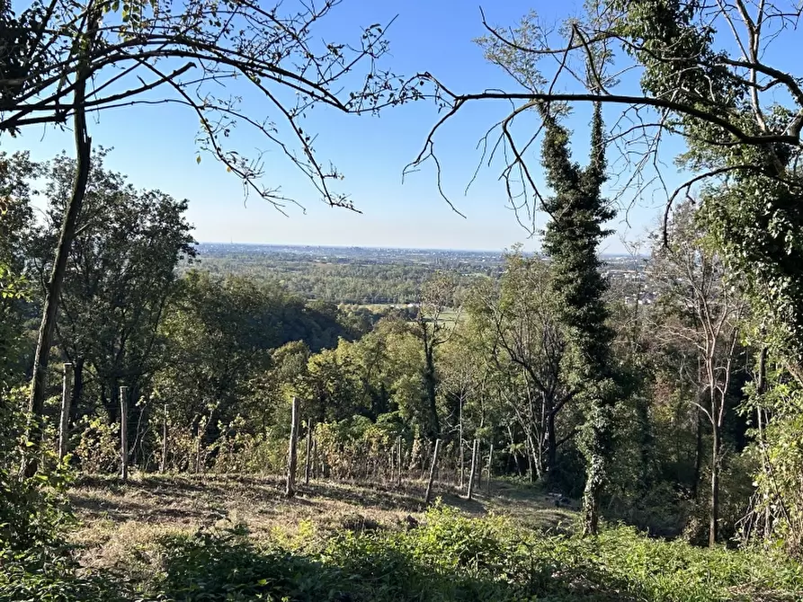 Immagine 3 di Terreno residenziale in vendita  in Via dei vigneti a Povoletto